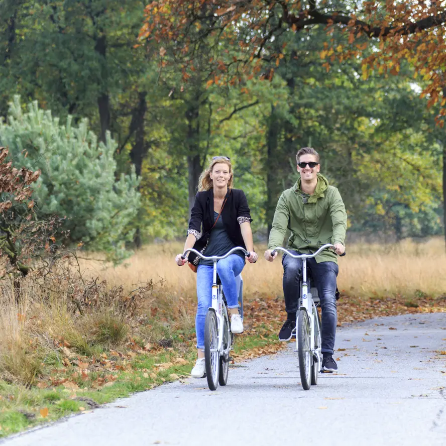 Le parc national De Hoge Veluwe - Piste cyclable - Source : De Hoge Veluwe National Park