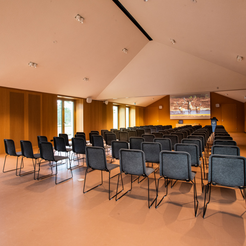 Zaal 1+2 - Capaciteit: 250 personen