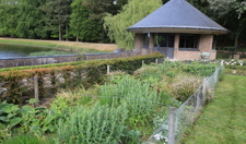De border van de Jachthuistuin