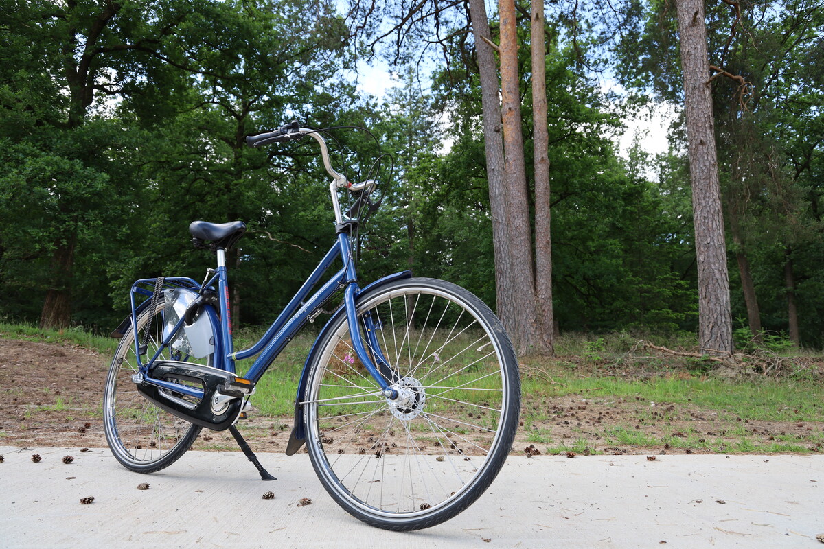 staart Omzet huiselijk Blauwe fiets met slot en 3 versnellingen — Park Hoge Veluwe